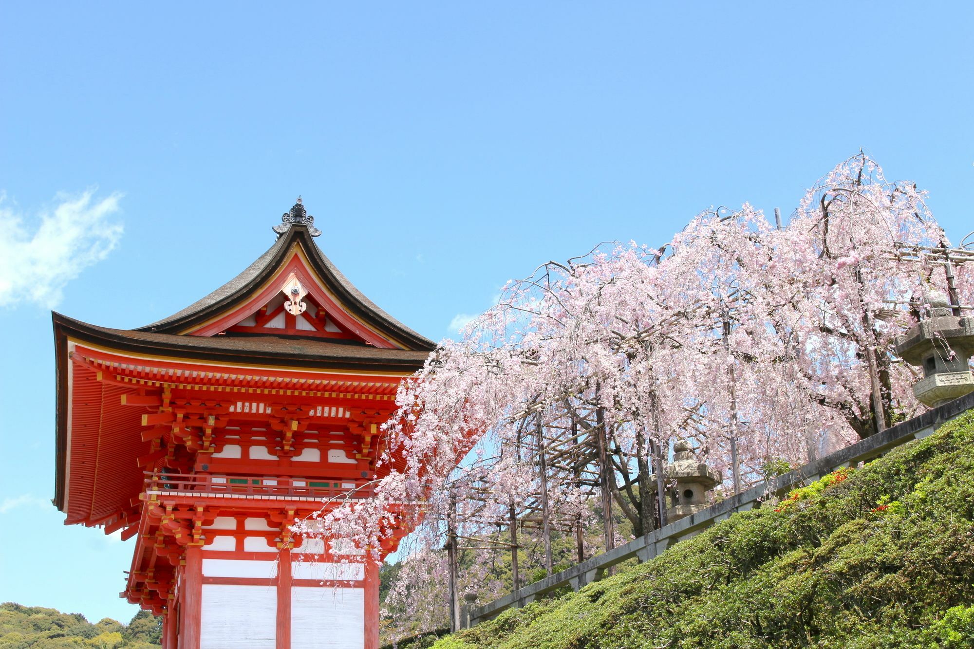 Stay Sakura Kyoto Nijo Seasons Exterior foto